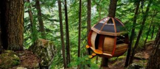 The HemLoft Tree House