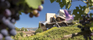 Hotel Marqués de Riscal: enoturismo di lusso