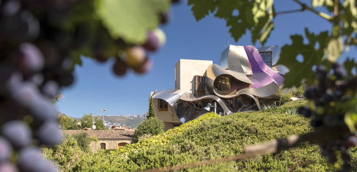 Hotel Marqués de Riscal: enoturismo di lusso