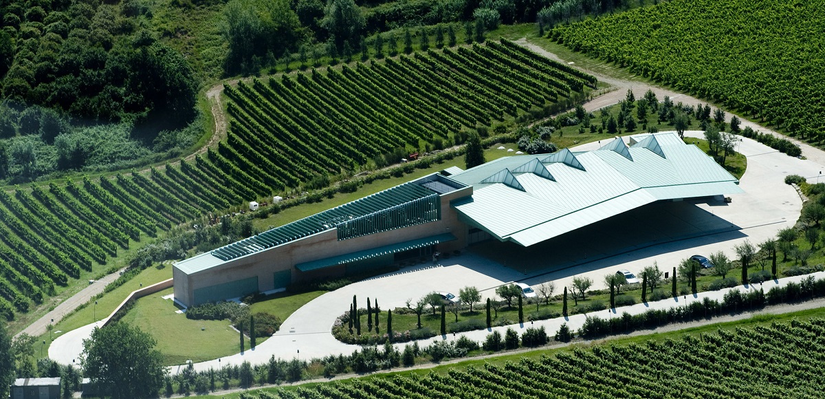 Azienda vinicola Campodelsole Bertinoro: Sangiovese Superiore al top