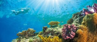 Australia Turismo Subacqueo: le immersioni nel profondo blu