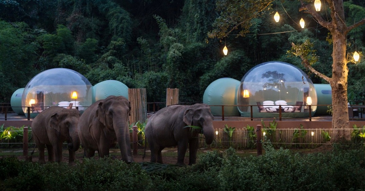 Anantara Resort Thailandia: dormire tra gli elefanti a scopo benefico