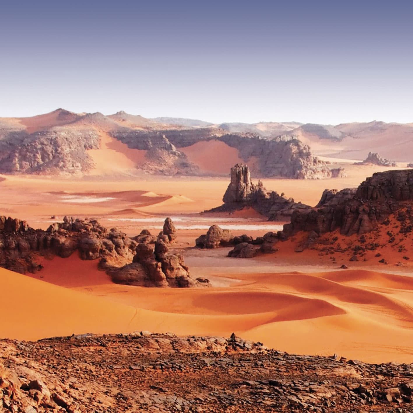 Desert Therapy: le 5 mete che fanno bene all'anima