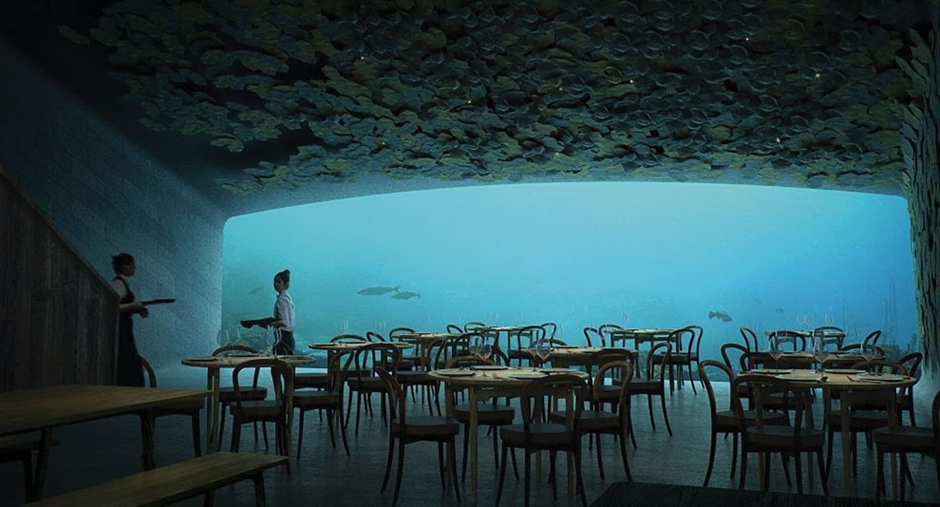 Ristorante Under Norvegia Il più grande ristorante sommerso del mondo