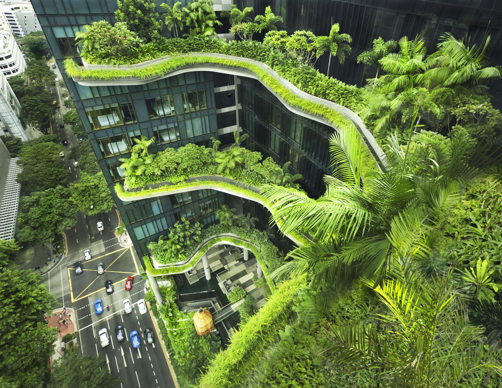 Green House I migliori architetti del mondo insieme per un futuro più sostenibile