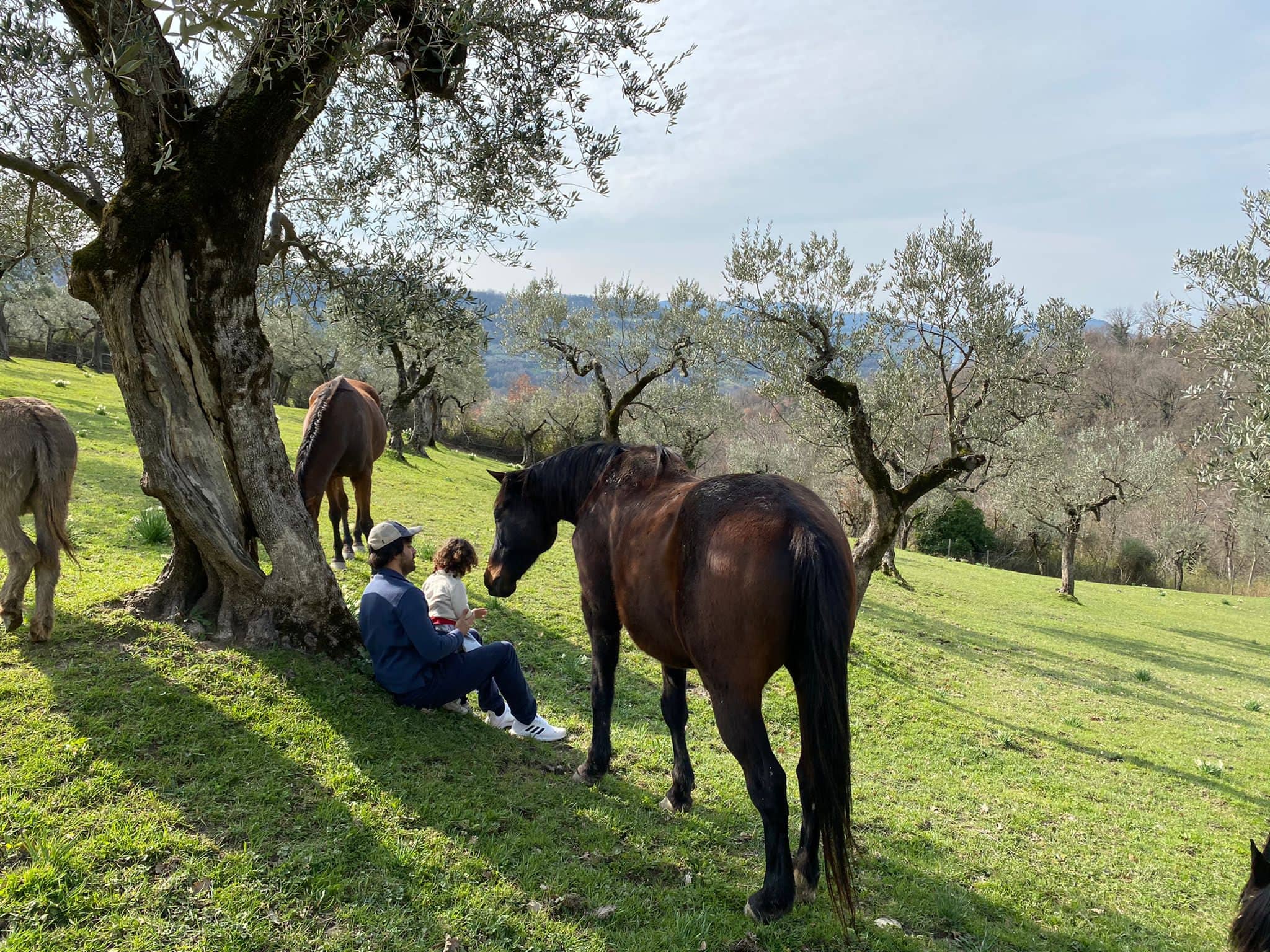 BeCountry Le vacanze… in un'azienda agricola!