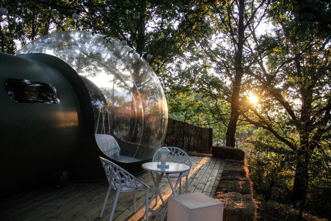 Bubble Glamping: l'esperienza più originale da vivere a San Valentino!