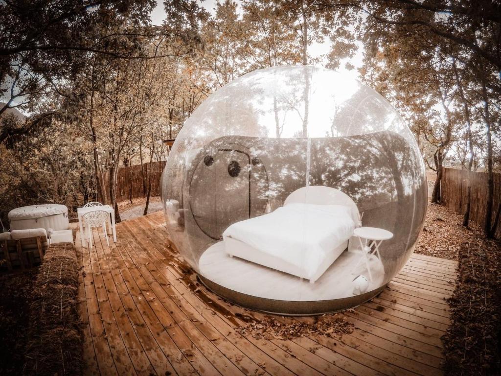 Bubble Glamping: l'esperienza più originale da vivere a San Valentino!