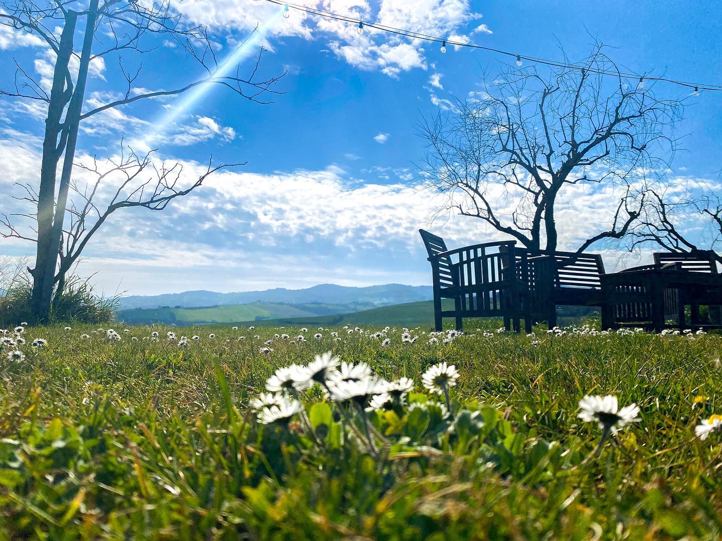 Villa i Tramonti Saludecio Profumo di Primavera!