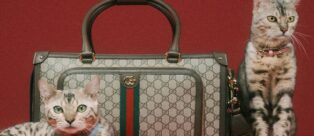 Gucci Pet 2022: la nuova collezione per gli amici a quattro zampe!