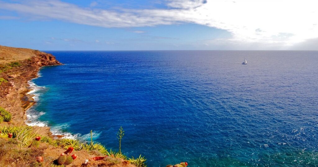 Cosmetici naturali dal Mediterraneo Le chicche bio e km zero