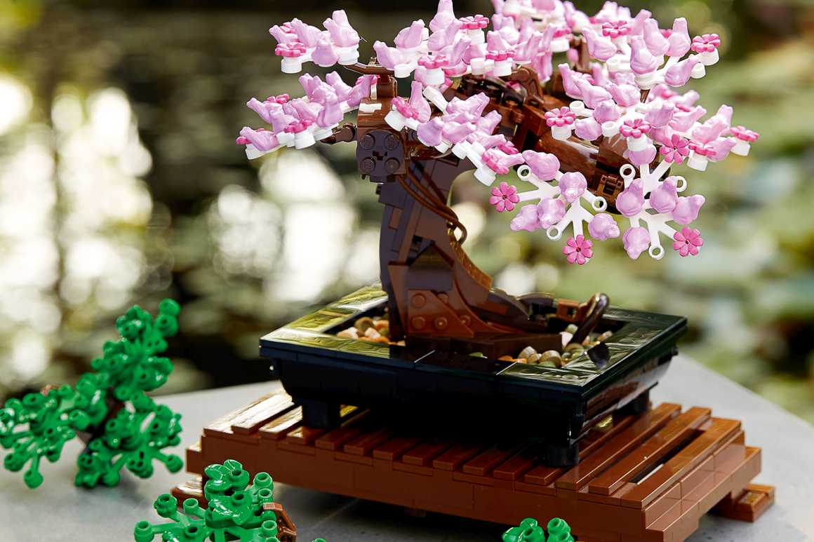 LEGO Botanical La prima gamma di set per adulti