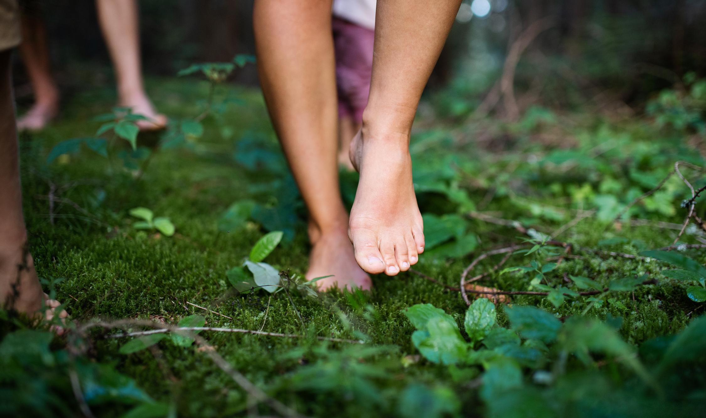 Ecoterapia Abbracciare la natura per riprendersi la propria vita