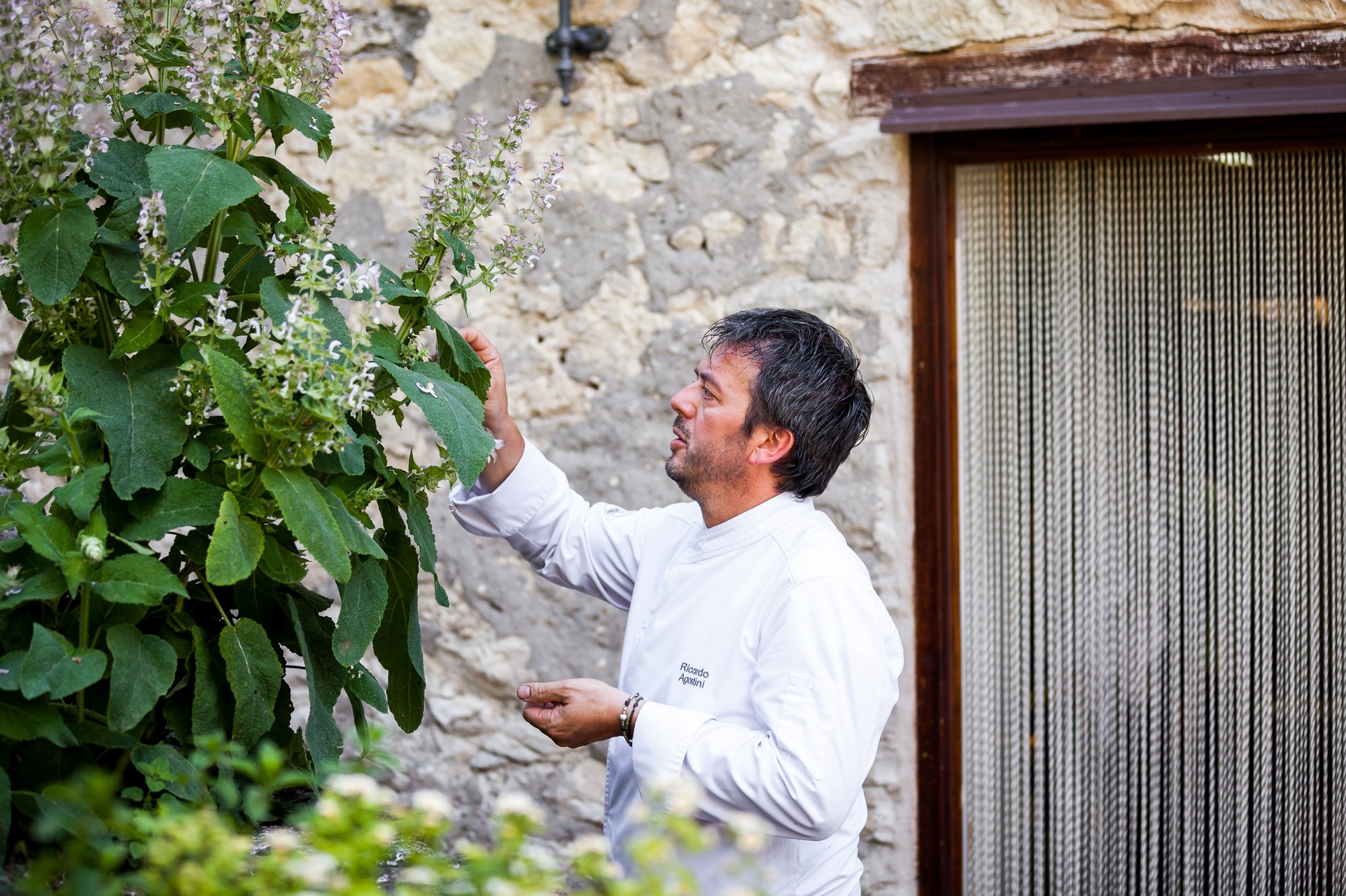 Il Piastrino Pennabilli: una nuova stella Michelin in Romagna 